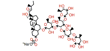 Novaeguineside G